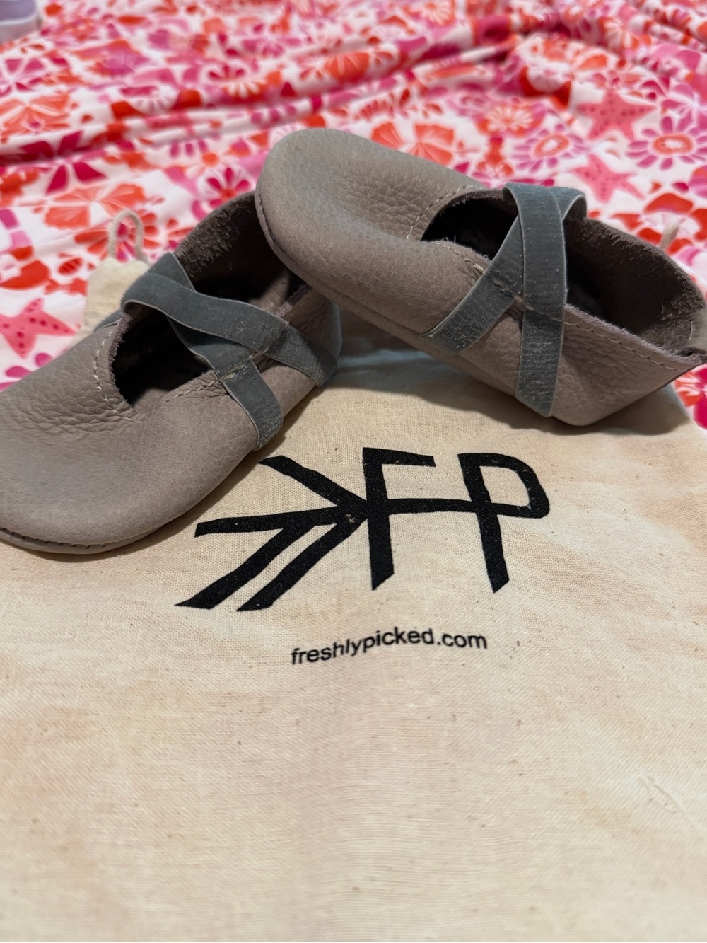 Freshly Picked Salt Flats Ballet Slipper Baby Shoe